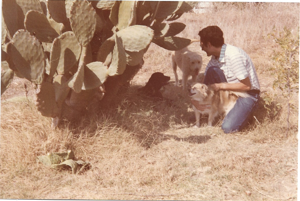 Superar abusos en la adolescencia: Mi testimonio a los 60 años - Al... 